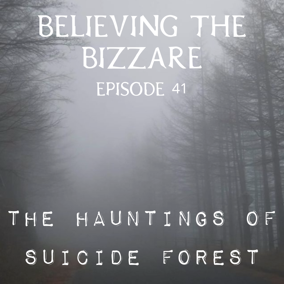 is Suicide Forest Haunted